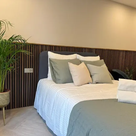 The Stylish Gem Of Aprt R1 Apartament Haga