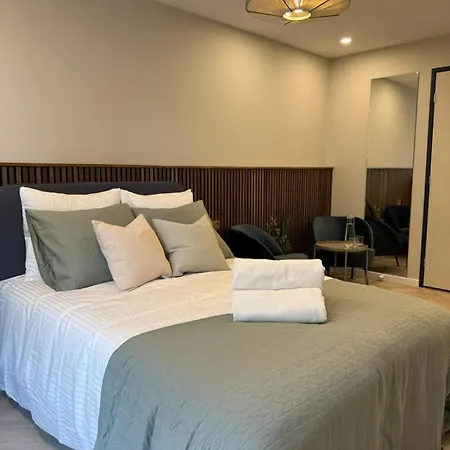 The Stylish Gem Of Aprt R1 Apartment The Hague