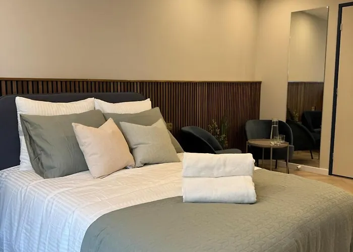 The Stylish Gem Of Aprt R1 Apartment Den Haag