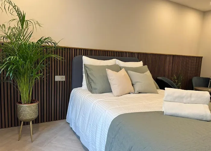 The Stylish Gem Of Aprt R1 Apartment Den Haag